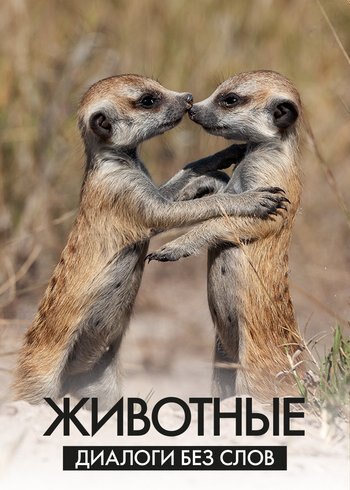 Movie How Animal Talk to Each Other 2024