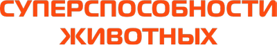 Суперспособности животных