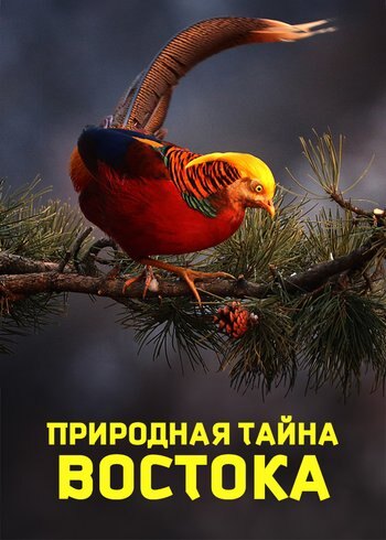 Фильм Природная тайна Востока 2024