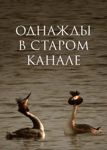 Фильм Однажды в старом канале 2016