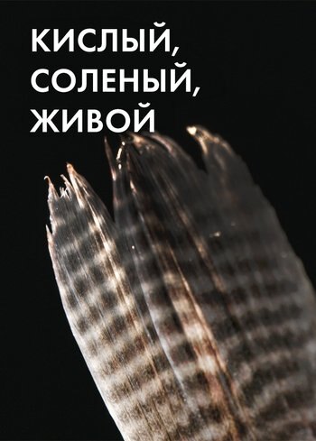 Сериал Кислый, соленый, живой 2024