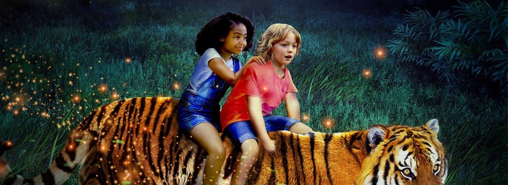 Постер фильма Парящий тигр