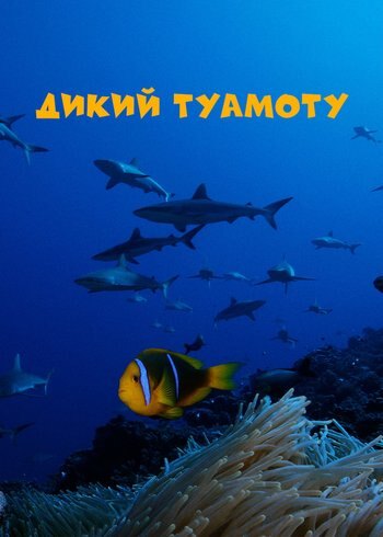 Series Wild Tuamotus 2024