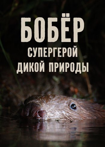 Фильм Бобёр — супергерой дикой природы 2023