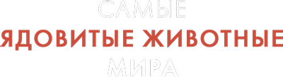 Самые ядовитые животные мира