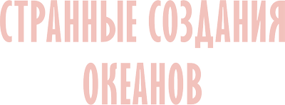 Странные создания океанов