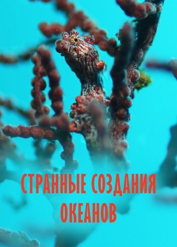 Series Weird Ocean Creatures 2024