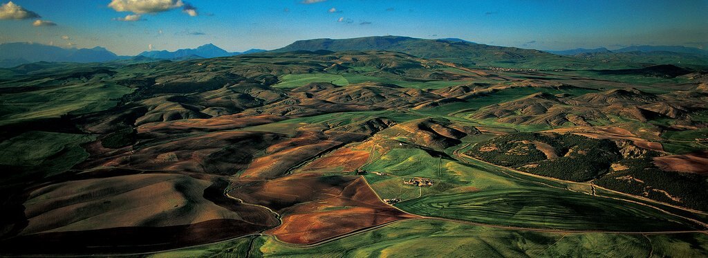 Series poster Algeria from above