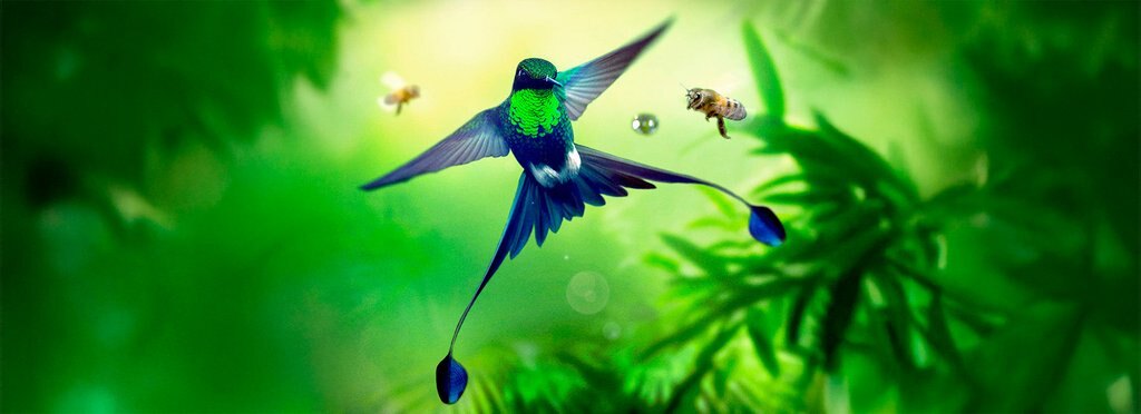 Movie poster Earth: One Amazing Day