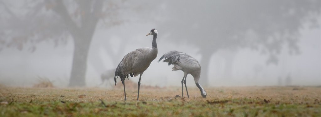 Movie poster Южная зима