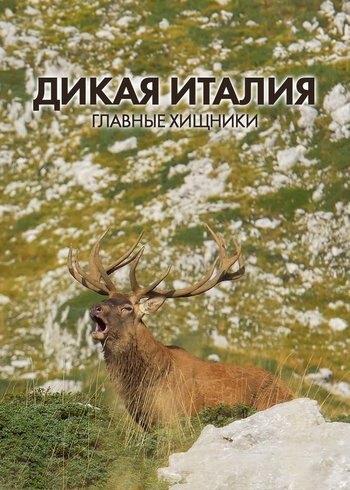 Сериал Дикая Италия: главные хищники 2020