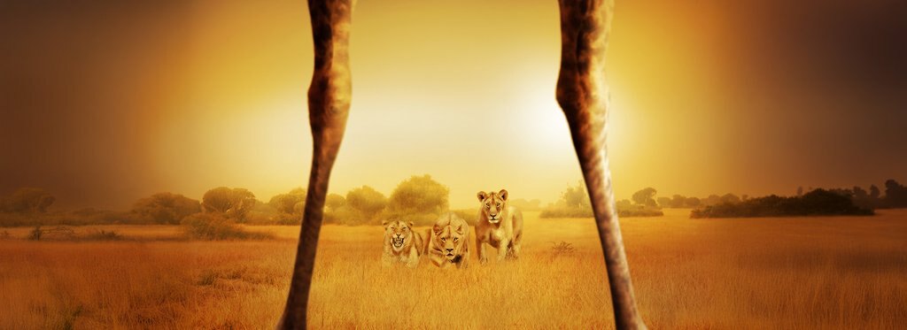 Постер фильма Добыча