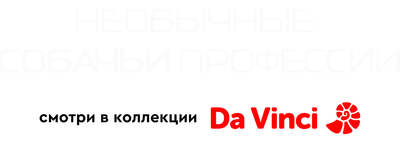 Необычные собачьи профессии