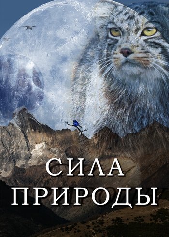 Series The Power Of Nature 2020