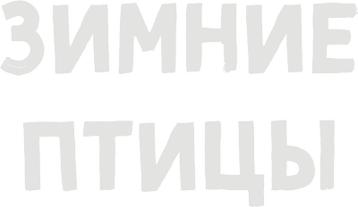 Зимние птицы