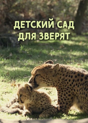 Series Zoo Nursery 2016