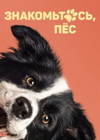 Movie Знакомьтесь, пес 2022