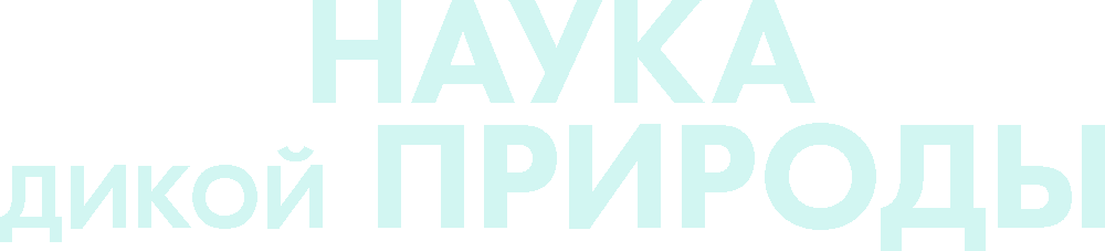 Наука дикой природы