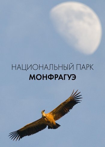 Фильм Национальный парк Монфрагуэ 2022