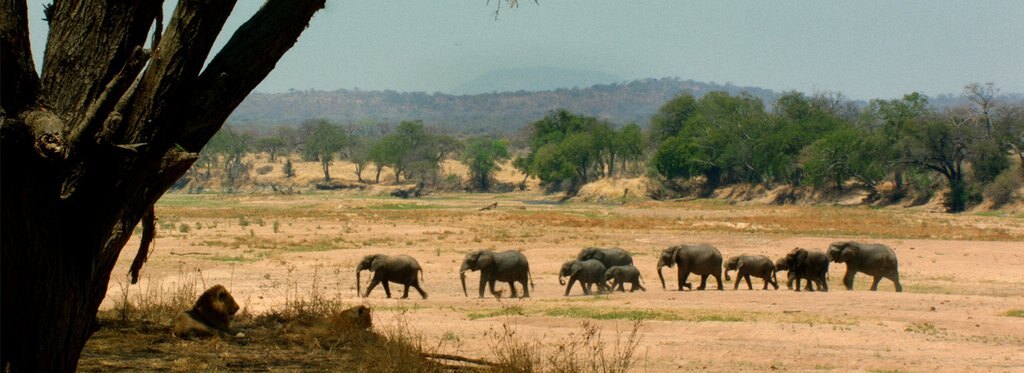 Постер фильма Последнее убежище