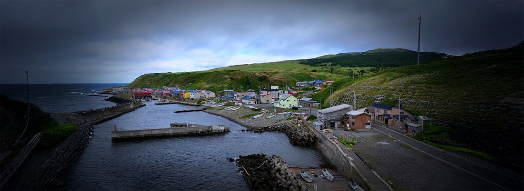 Постер фильма Искусство собирать водоросли