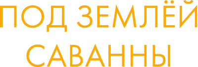 Под землей Саванны