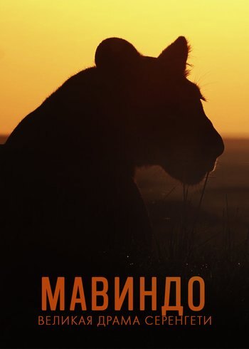 Movie Mawindo: The big drama of the Serengeti 2019