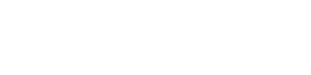 Кем они были до коронации
