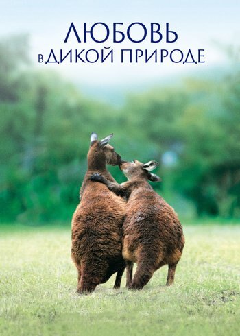 Сериал Любовь в дикой природе 2010