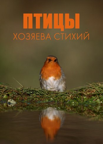 Series Birds. Masters of the Elements 2023
