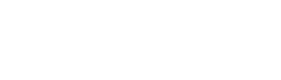 Длинноносые дельфины