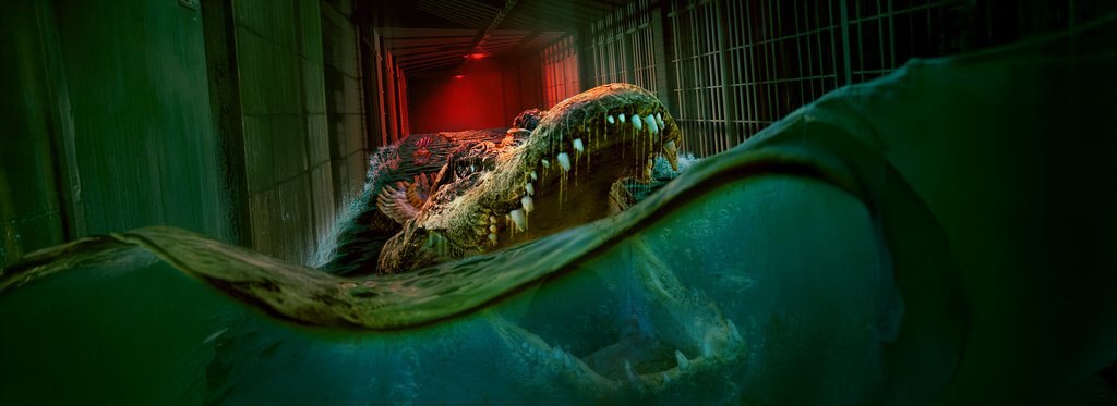 Постер фильма Наводнение