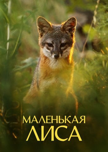 Фильм Маленькая лиса 2025