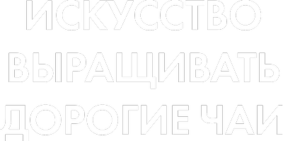 Искусство выращивать дорогие чаи