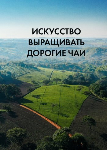 Фильм Искусство выращивать дорогие чаи 2022