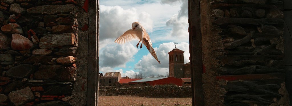 Постер фильма Быстрый против медленного