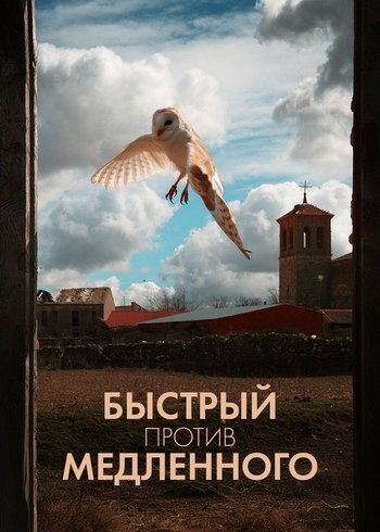 Фильм Быстрый против медленного 2023