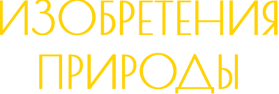Изобретения природы