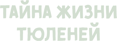 Тайна жизни тюленей