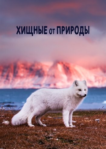 Series Хищные от природы 2024
