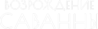 Возрождение Саванны