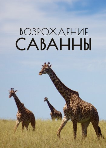 Фильм Возрождение Саванны 2013