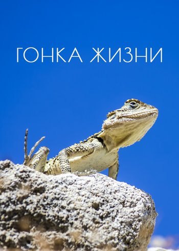 Series Гонка жизни 2015