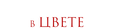 «Титаник» в цвете