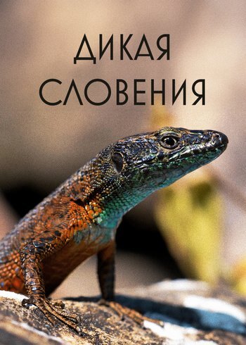 Movie Wild Slovenia 2022