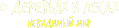 О деревьях и лесах. Невидимый мир
