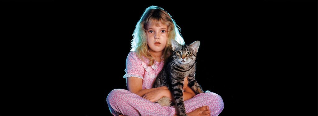 Постер фильма Кошачий глаз