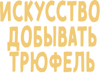 Искусство добывать трюфель