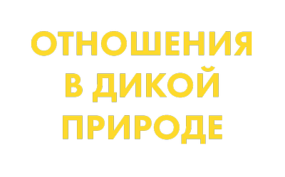 Отношения в дикой природе