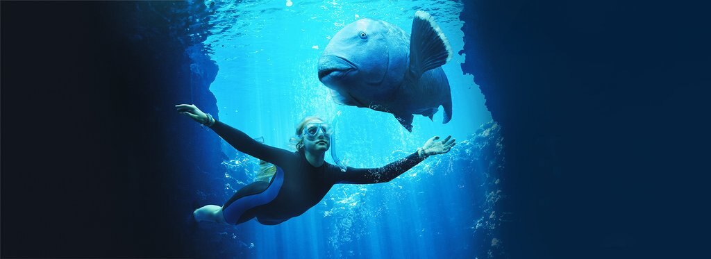 Постер фильма Друг в океане